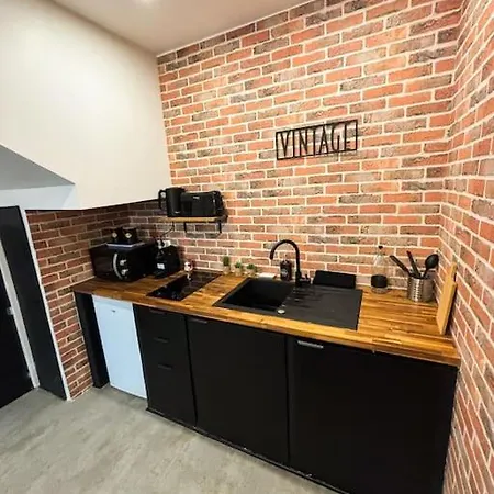 Apartament L'atelier Du Desir - Centre - Proche Gare Sélestat